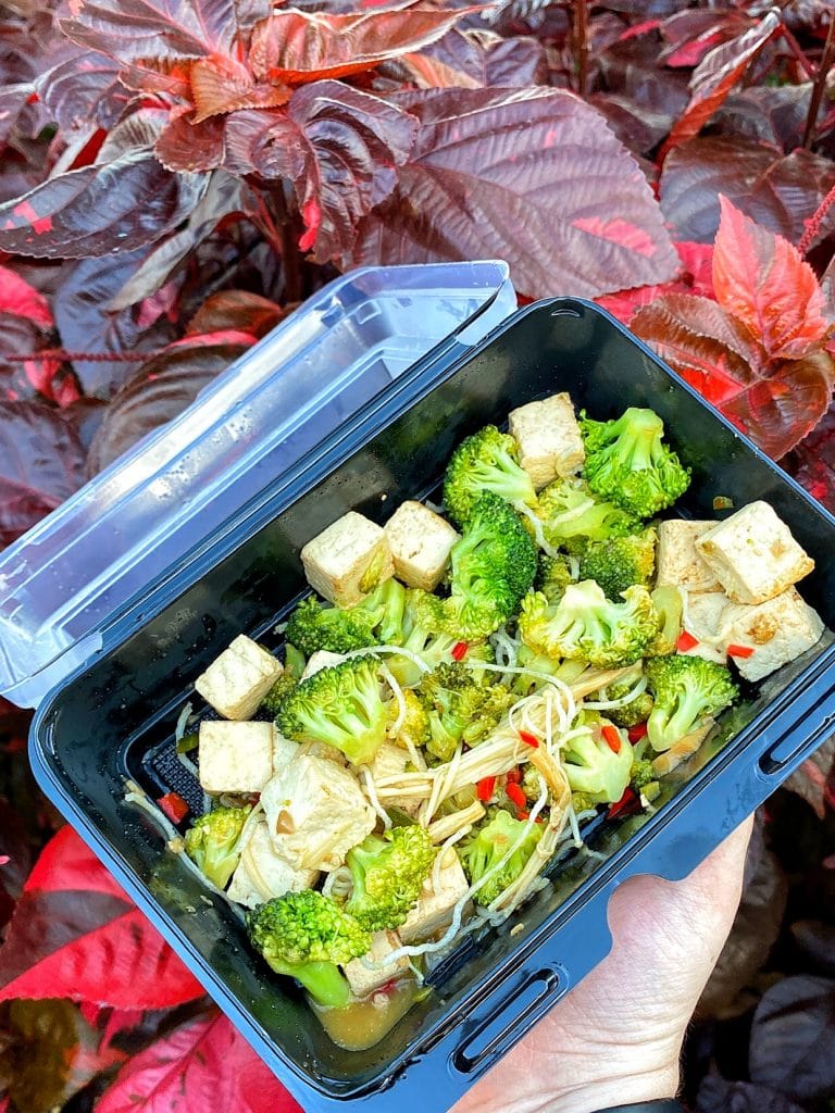 Vegan Orange Tofu at the Polynesian Village Resort in Walt Disney World