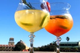 Sangria University Vegan Review at Coronado Springs Resort in Walt Disney World