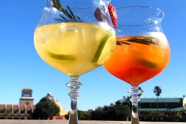 Sangria University Vegan Review at Coronado Springs Resort in Walt Disney World