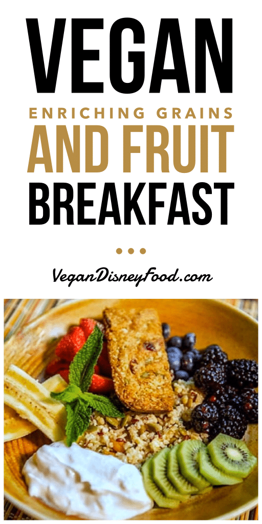 Sanaa Vegan Enriching Grains Breakfast in Disney’s Animal Kingdom Lodge Kidani Village at Walt Disney World