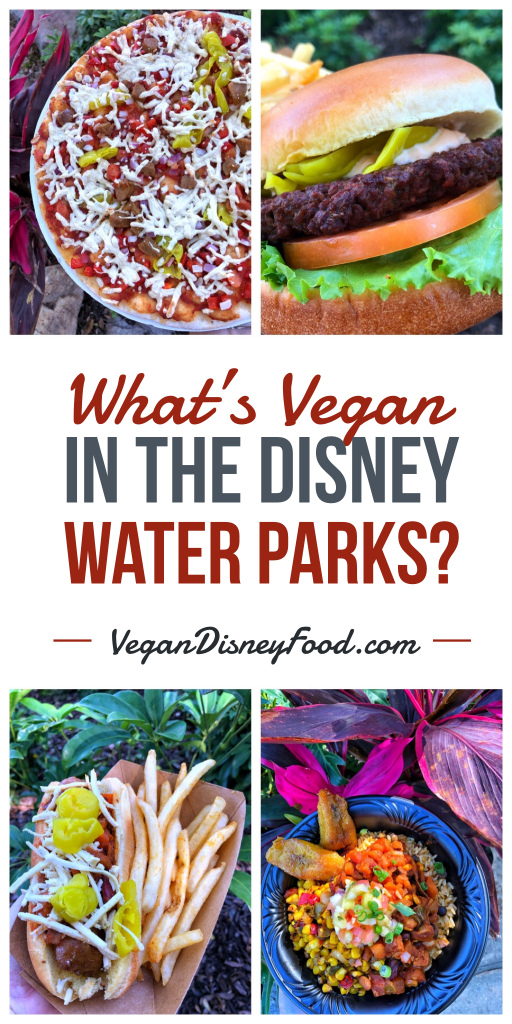 What’s Vegan in the Disney Water Parks?