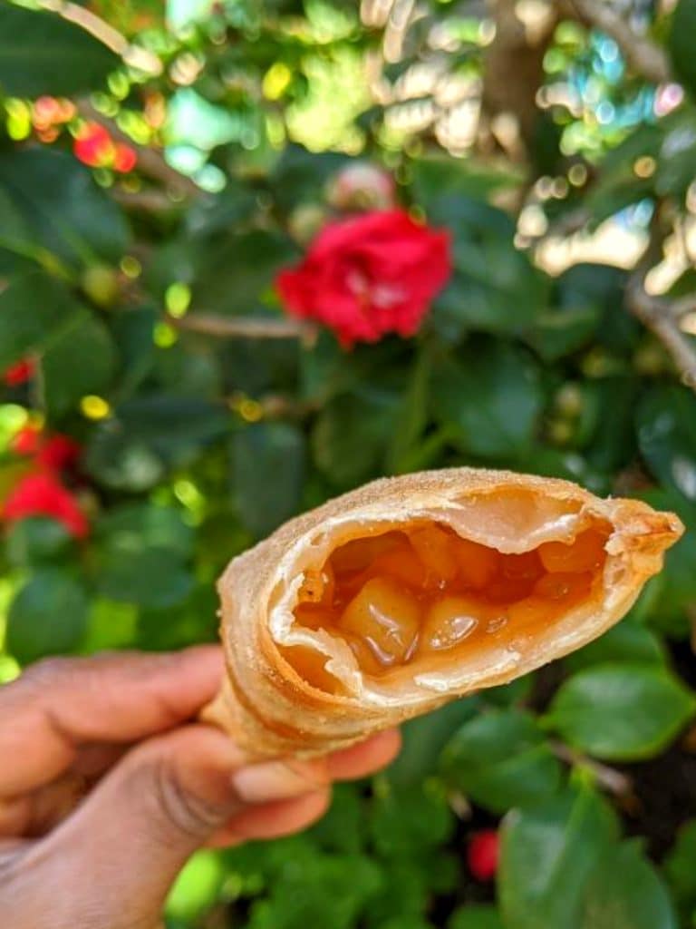 Vegan at the Disney California Adventure Food and Wine Festival