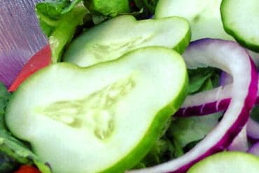 Walt Disney World Closure Boosts Second Harvest Food Bank Supply