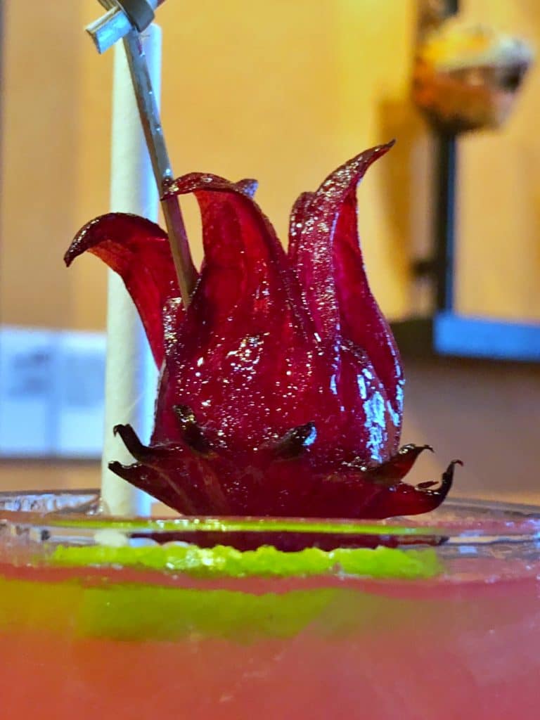 Jenn's Tattoo Tiffins