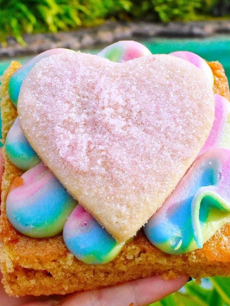 Sugar Rush Bar Vegan Dessert in Disney Springs at Walt Disney World