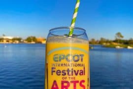 Coconut Passion Fruit Smoothie Souvenir Cup