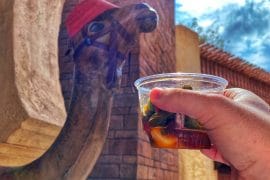 olives Morocco Epcot