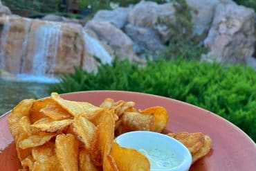 House Made Chips with vegan Chimichurri Dip