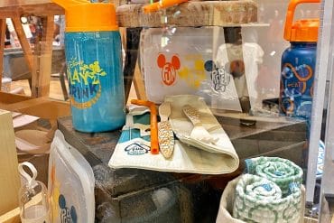 Disney Reusable Merch line
