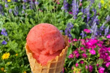 Strawberry Sorbet Gelateria Toscana vegan