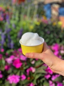 Lemon Sorbet Gelateria Toscana vegan