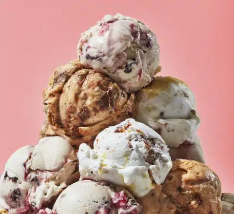 Salt & Straw Ice cream vegan