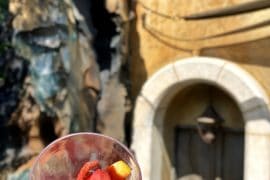 vegan fruit cup Ronto Roasters