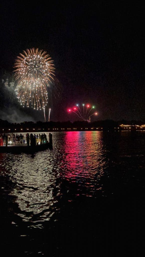 Happily Ever After Fireworks