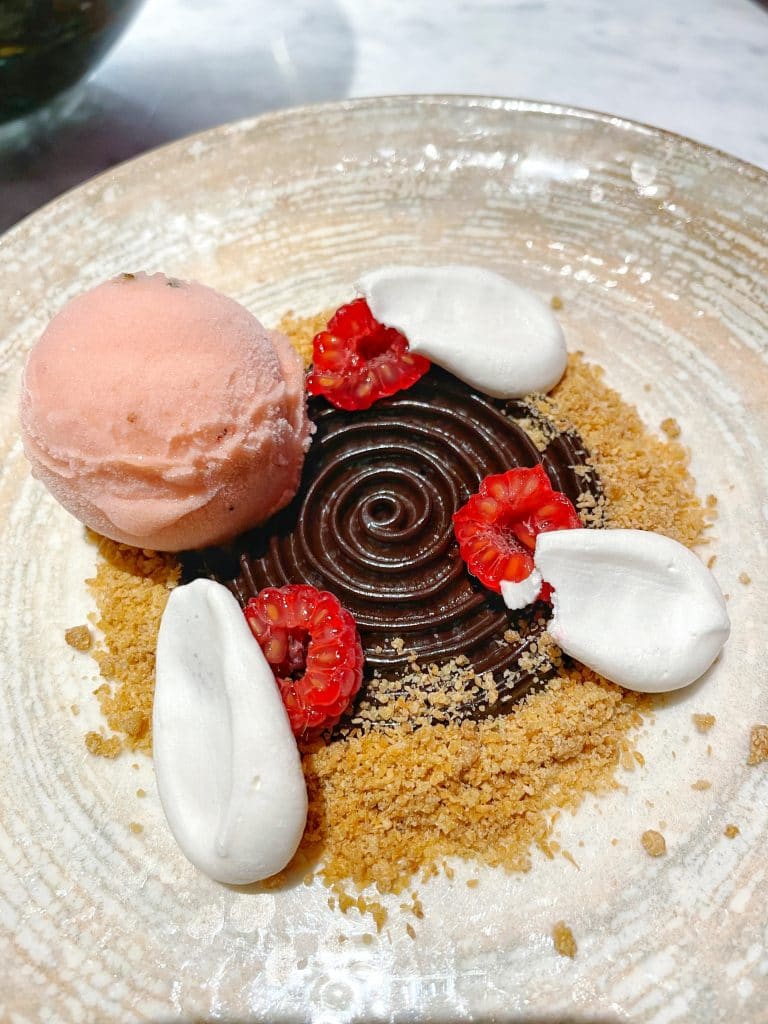 Chocolate Avocado Mouse Toledo vegan