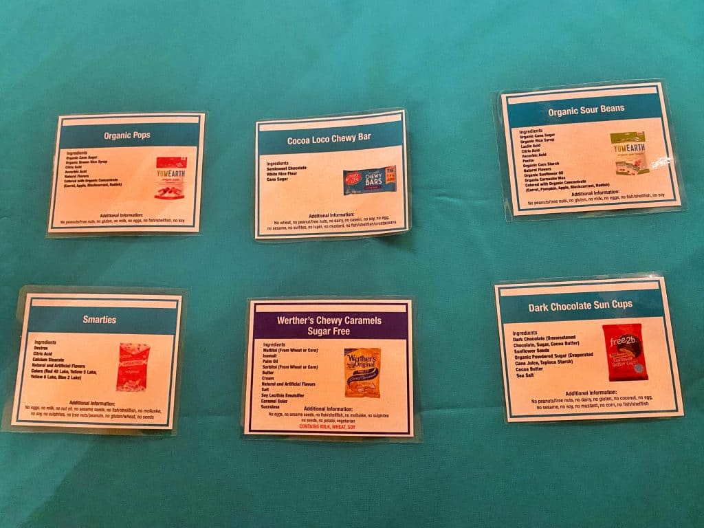 Vegan Allergy Friendly Boo Bash