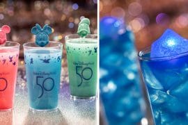 Vegan Walt Disney World 50th drinks