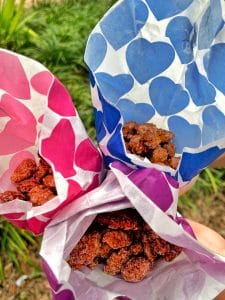 vegan glazed nuts EPCOT