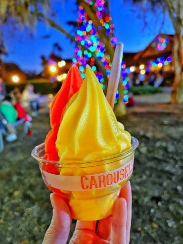 Fort Wilderness Food Trucks Vegan Carousel ice cream