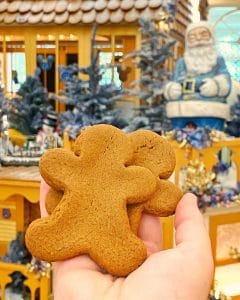 Vegan Gingerbread Cookies Grand Floridian