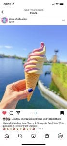 Cherry Pineapple Dole Whip Epcot Arts Festival 2022