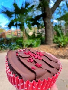 vegan Flamingo Cake The Mara Disney's Animal Kingdom Lodge
