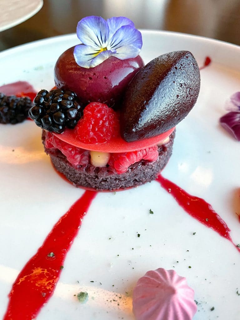 Vegan Fruits of the Forest dessert Topolino's Terrace