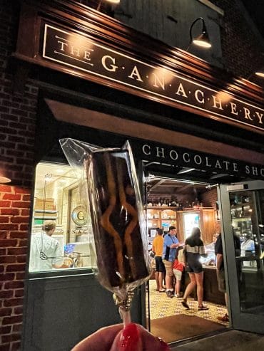 Vegan Lady Tano pop from the Ganachery