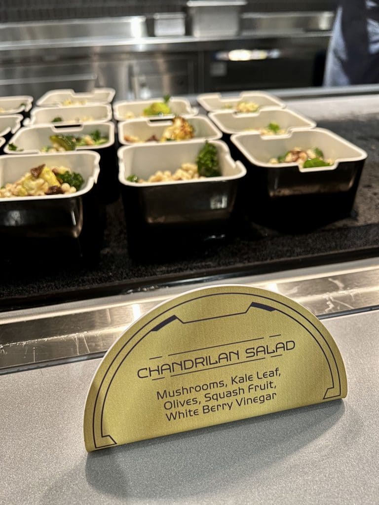 vegan breakfast Star Wars Galactic Star Cruiser