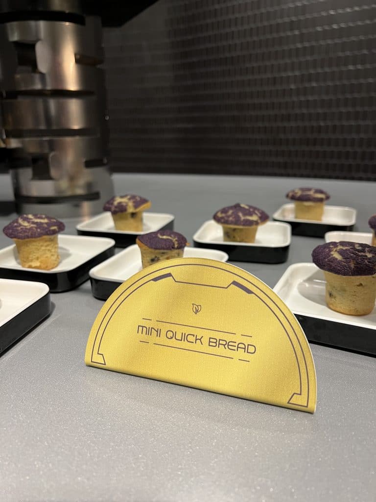 Vegan Breakfast Star Wars Galactic Starcruiser