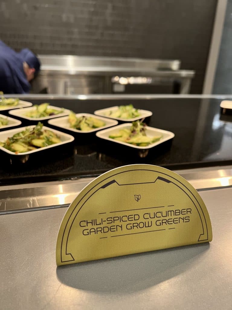 vegan lunch Star Wars Galactic Star Cruiser