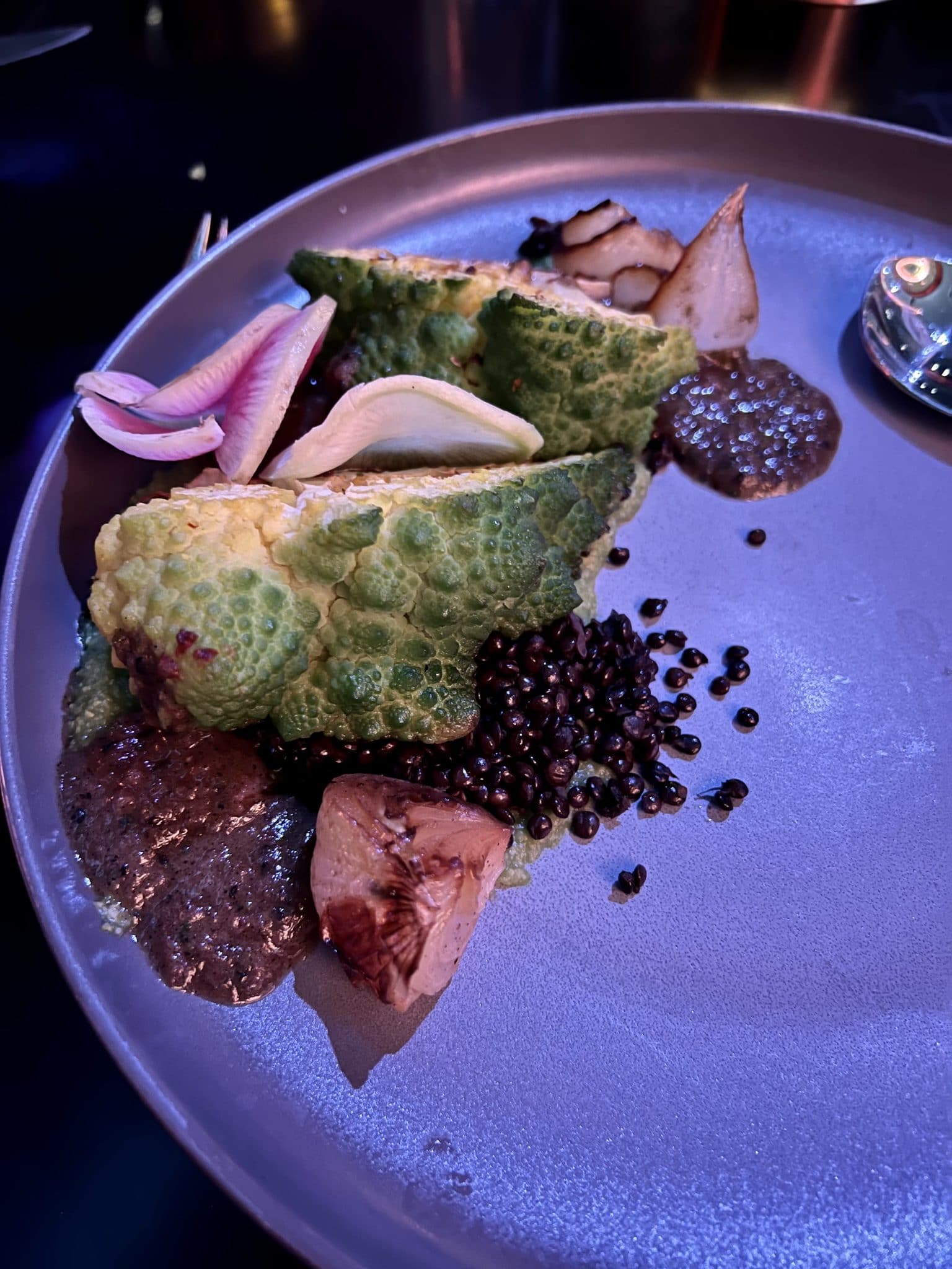 Vegan dinner Experience Star Wars Galactic Starcruiser