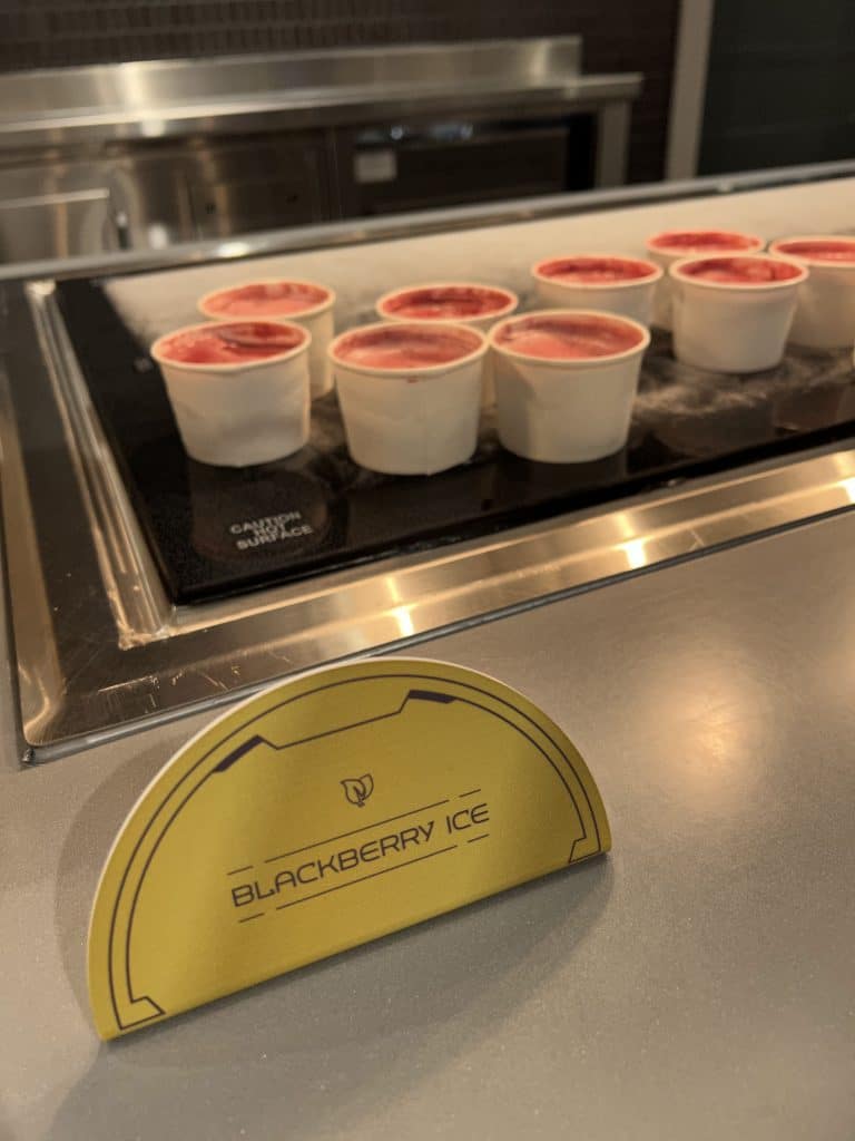 Vegan snacks Star Wars Galactic Starcruiser