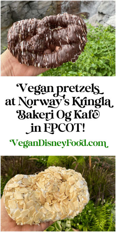 vegan chocolate and almond pretzel epcot norway