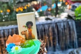 Antonio vegan tres leches cupcake