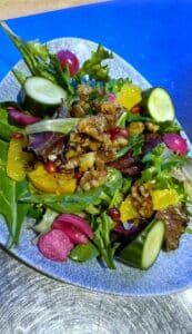 Reef Salad Coral Reef vegan