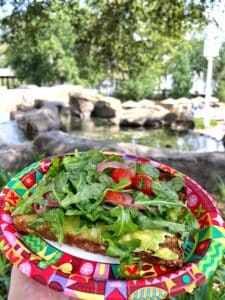 avocado toast Artist's Palette Saratoga Springs