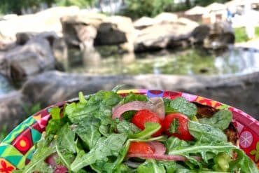 avocado toast Artist's Palette Saratoga Springs