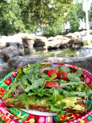 avocado toast Artist's Palette Saratoga Springs