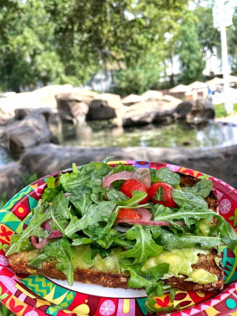 avocado toast Artist's Palette Saratoga Springs