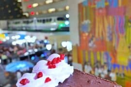 Contempo Cafe vegan chocolate peanut butter bar