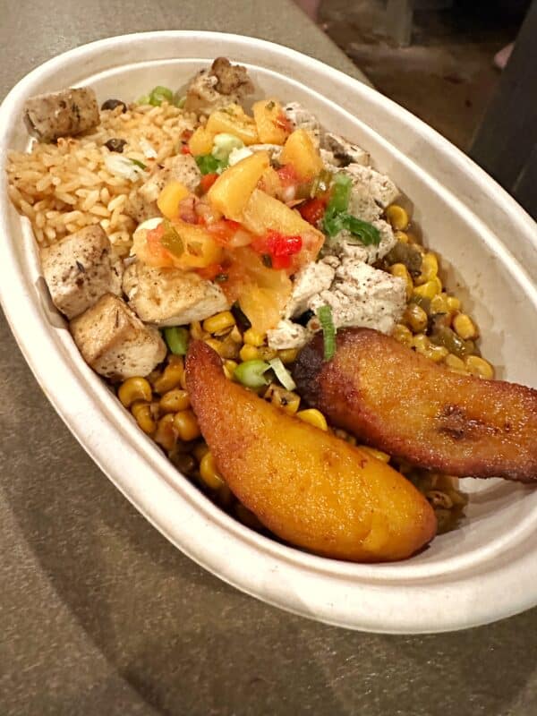 Tofu Rice Bowl Typhoon Lagoon