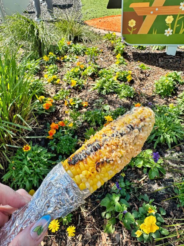 Grilled Street Corn on the Cob with savory garlic spread and plant-based cotija cheese