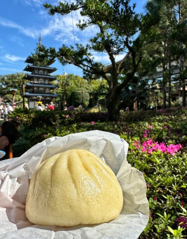Steam Bun from Hanami Epcot Flower and Garden