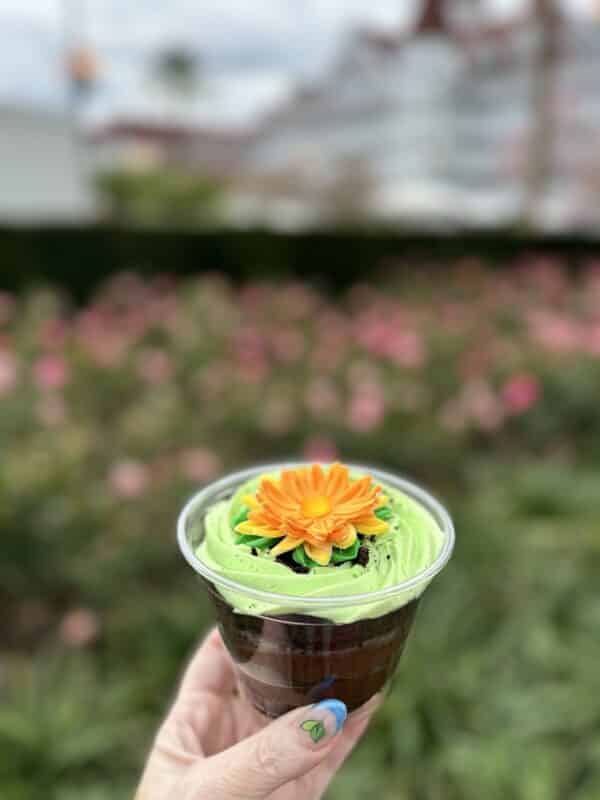 Bunny Burrow Dirt Cup vegan Grand Floridian