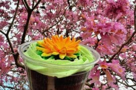 Bunny Burrow Dirt Cup vegan Grand Floridian