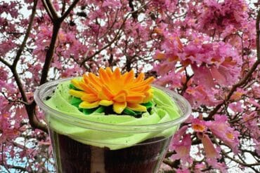 Bunny Burrow Dirt Cup vegan Grand Floridian