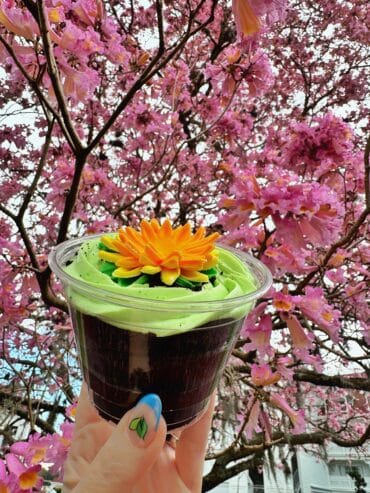 Bunny Burrow Dirt Cup vegan Grand Floridian