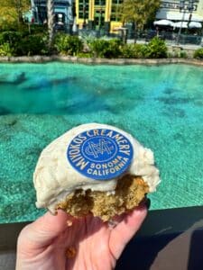 vegan Miyokos Sprinkles Cupcake