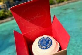 vegan Miyokos Sprinkles Cupcake